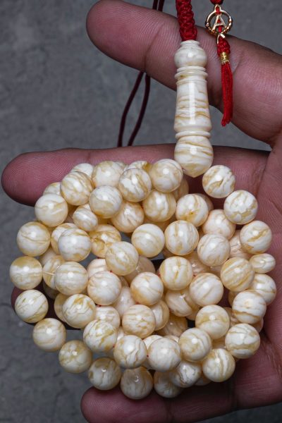 WhatsApp Image 2025-08-19 at 23.22.15_18efd668