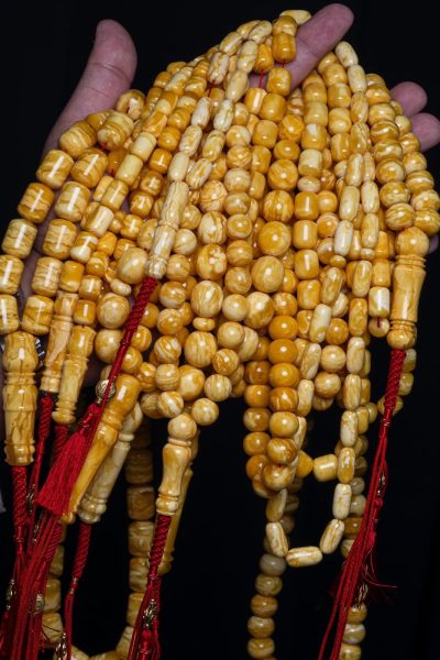 WhatsApp Image 2025-08-19 at 23.22.16_51cab9ac