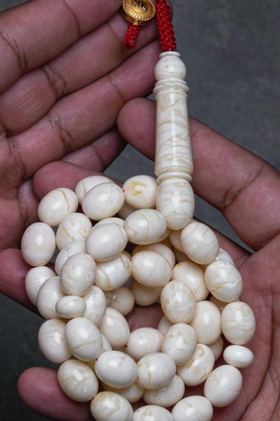 WhatsApp Image 2025-08-19 at 23.22.21_5cfd6ea9